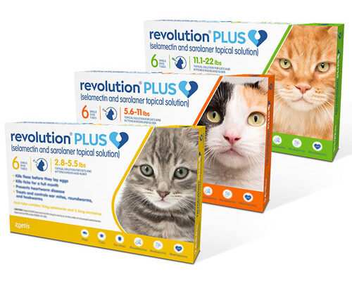 110-revolutionpluscats_orig