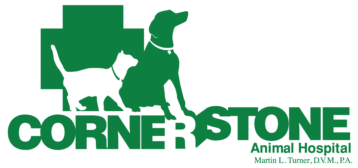 Cornerstone Animal Hospital