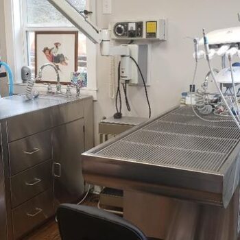 dental2022