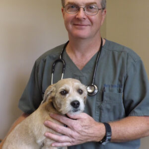 dr & pup