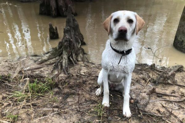 lab near water