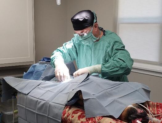surgery3_orig